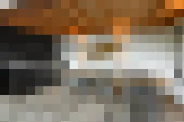 Mozartstraat 31 Elst thumbnail 49