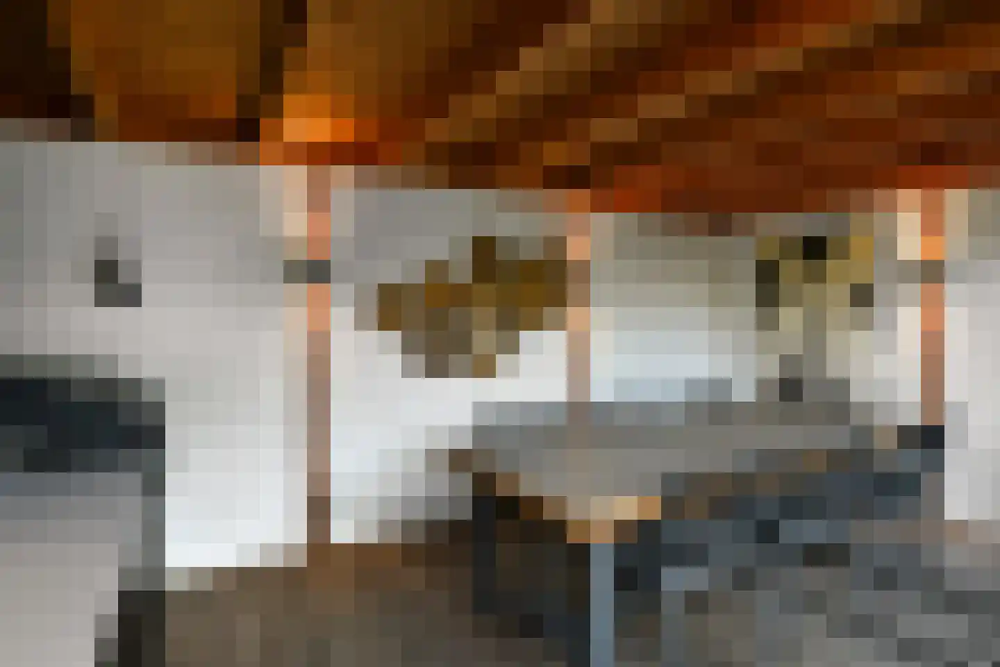 Mozartstraat 31 Elst thumbnail 50