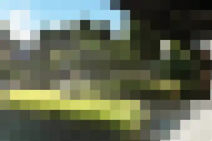Mozartstraat 31 Elst thumbnail 52