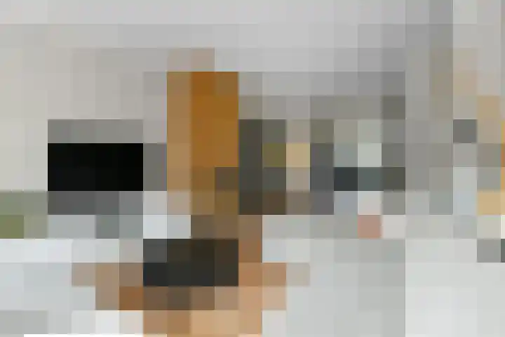 Mozartstraat 31 Elst thumbnail 8