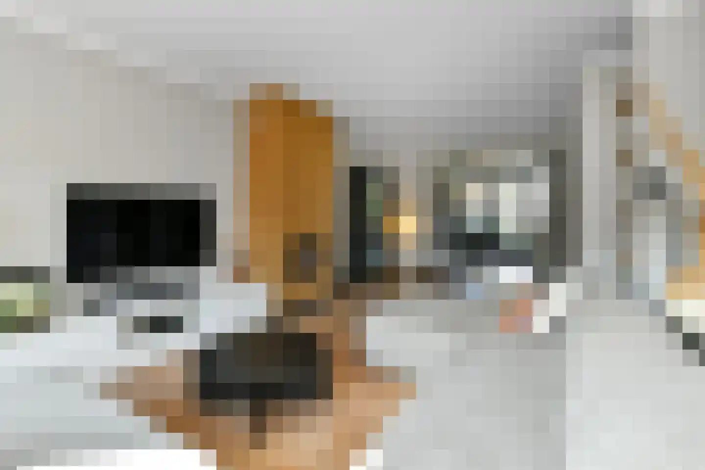 Mozartstraat 31 Elst thumbnail 8