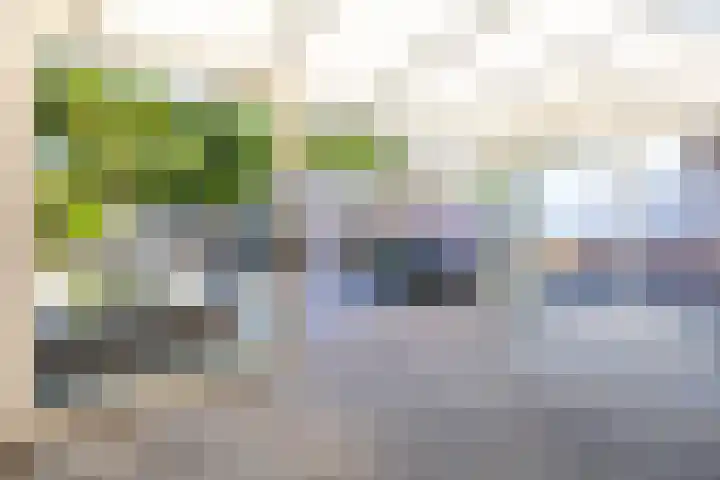 Mozartstraat 31 Oirsbeek thumbnail 9