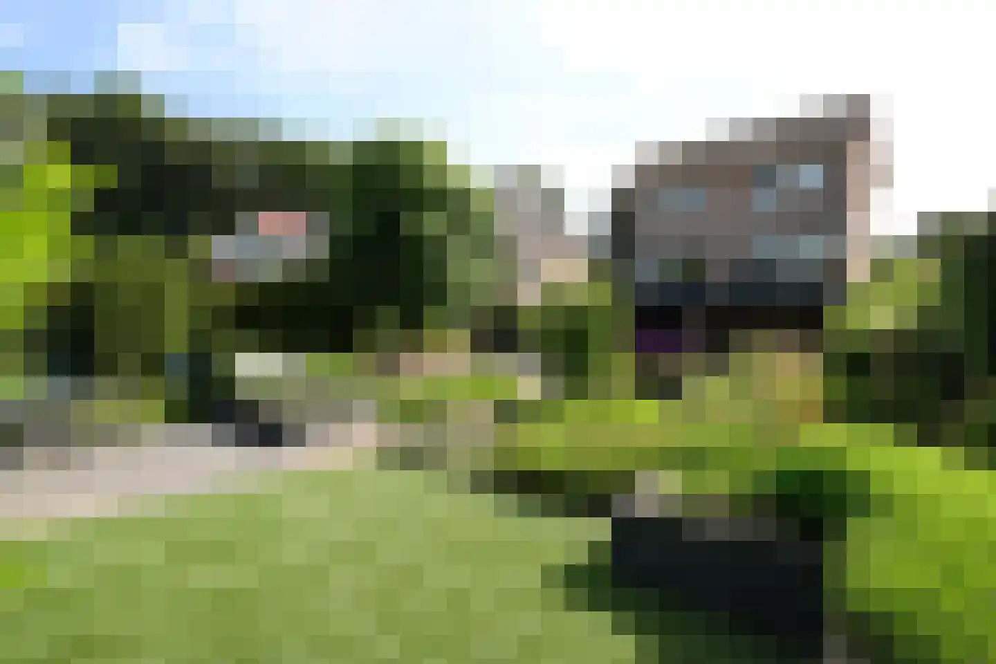 Mozartstraat 33 Groesbeek thumbnail 9