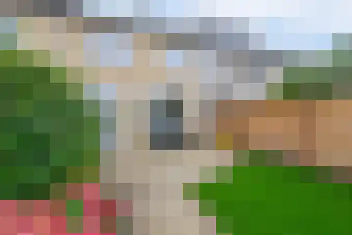 Mozartstraat 33 Lisse thumbnail 18