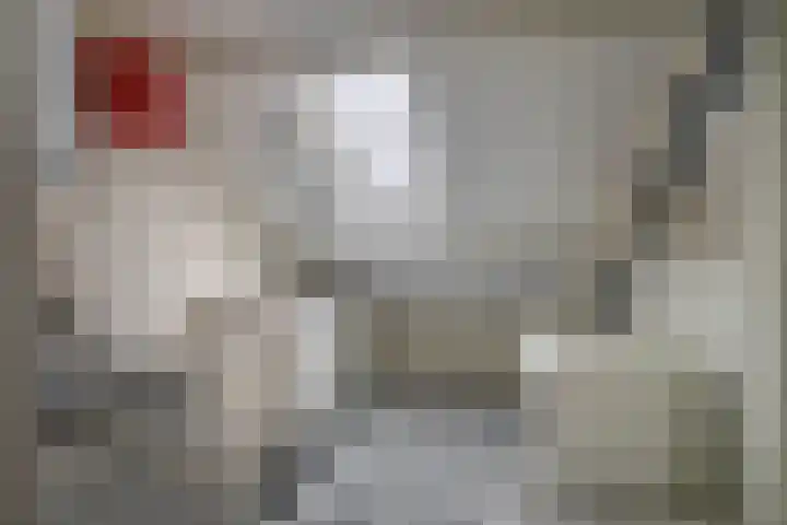 Mozartstraat 33 Lisse thumbnail 38