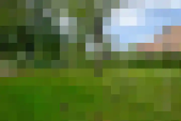 Mozartstraat 33 Lisse thumbnail 41