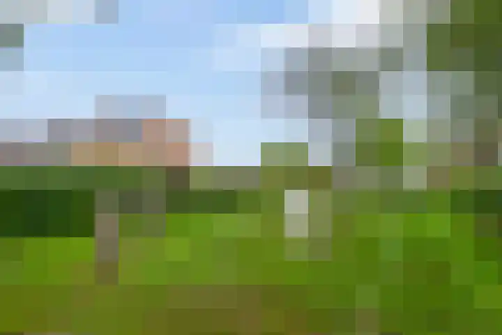 Mozartstraat 33 Lisse thumbnail 42
