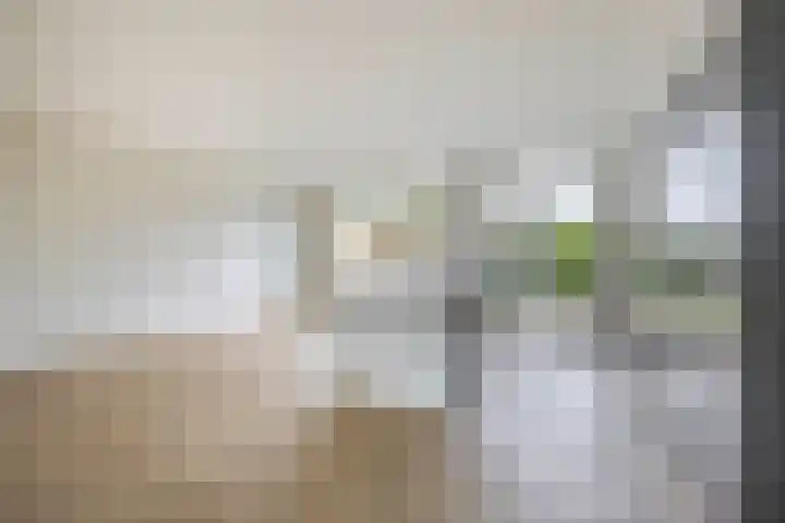 Mozartstraat 33 Lisse thumbnail 9