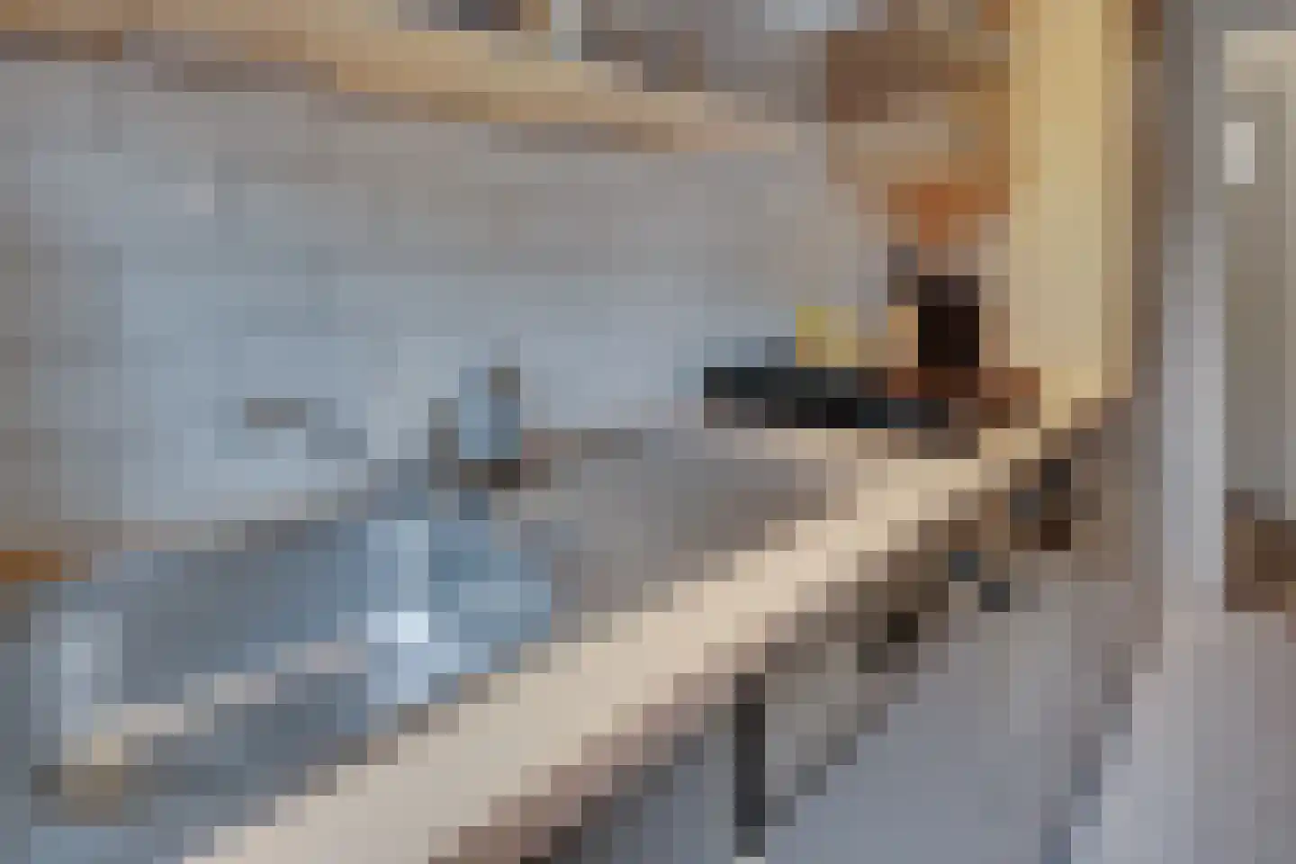 Mozartstraat 35 Groningen thumbnail 13