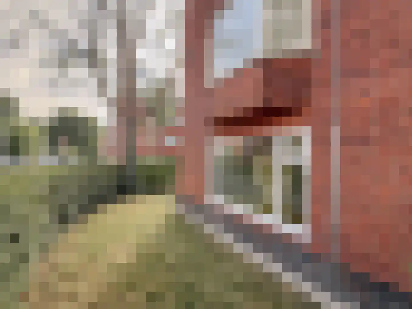 Mozartstraat 35 Groningen thumbnail 30
