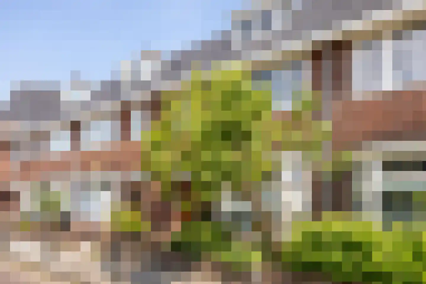 Mozartstraat 36 Nijmegen thumbnail 33