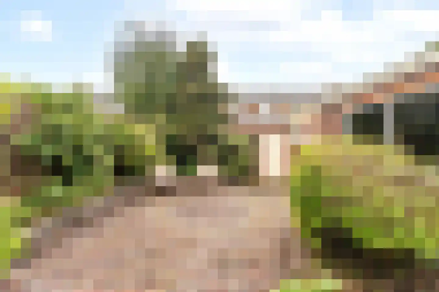 Mozartstraat 38 Heemskerk thumbnail 21