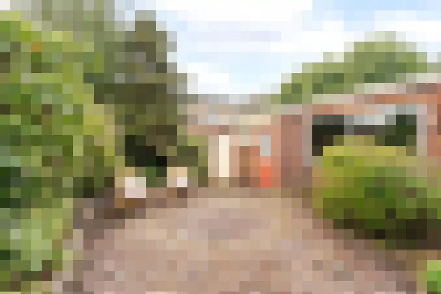 Mozartstraat 38 Heemskerk thumbnail 22
