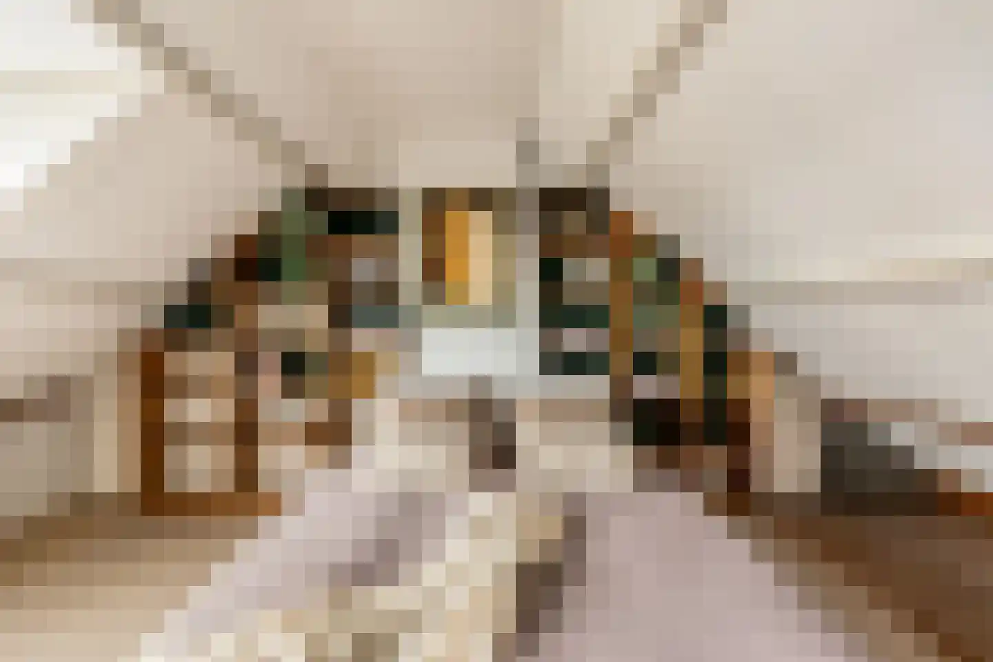 Mozartstraat 38 Heemskerk thumbnail 34