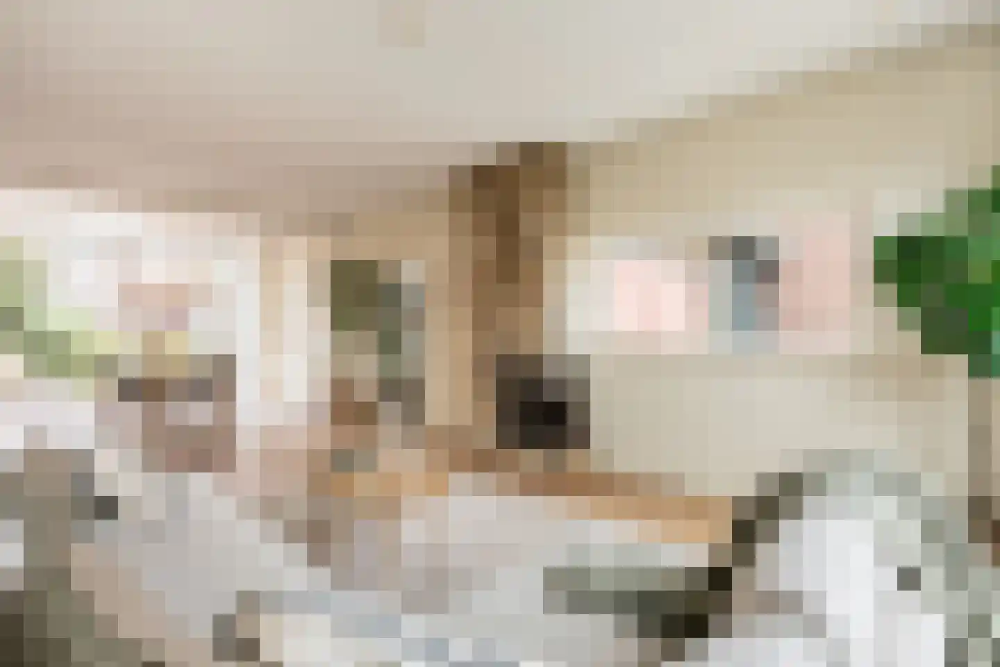 Mozartstraat 38 Heemskerk thumbnail 8