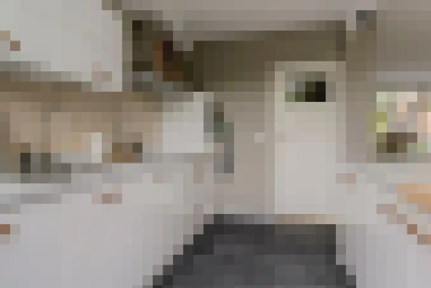 Mozartstraat 4 Elst thumbnail 11