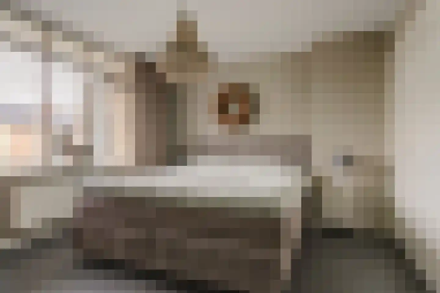 Mozartstraat 4 Elst thumbnail 14