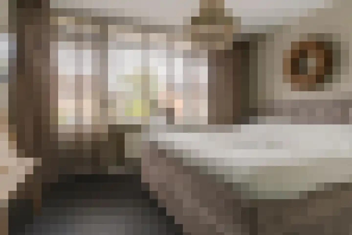 Mozartstraat 4 Elst thumbnail 15