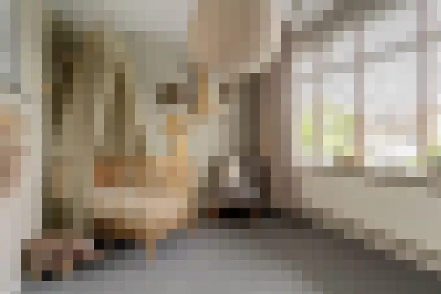 Mozartstraat 4 Elst thumbnail 17