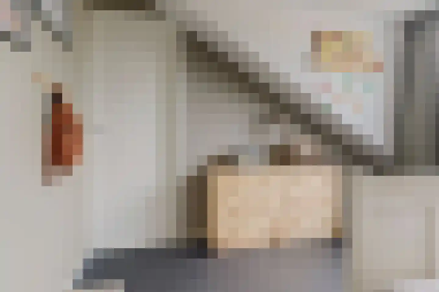 Mozartstraat 4 Elst thumbnail 25