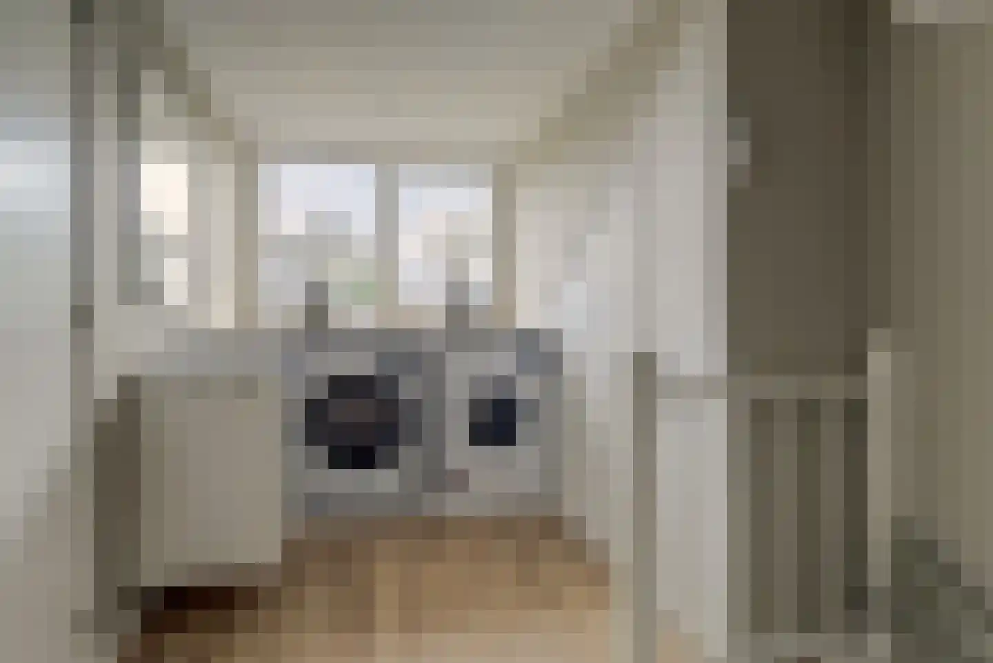 Mozartstraat 4 Elst thumbnail 28