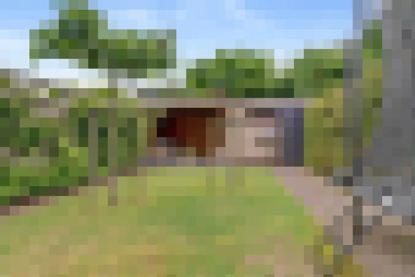 Mozartstraat 4 Elst thumbnail 31