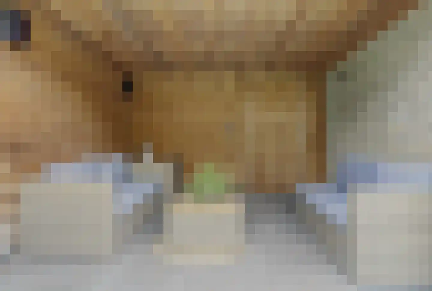 Mozartstraat 4 Elst thumbnail 32