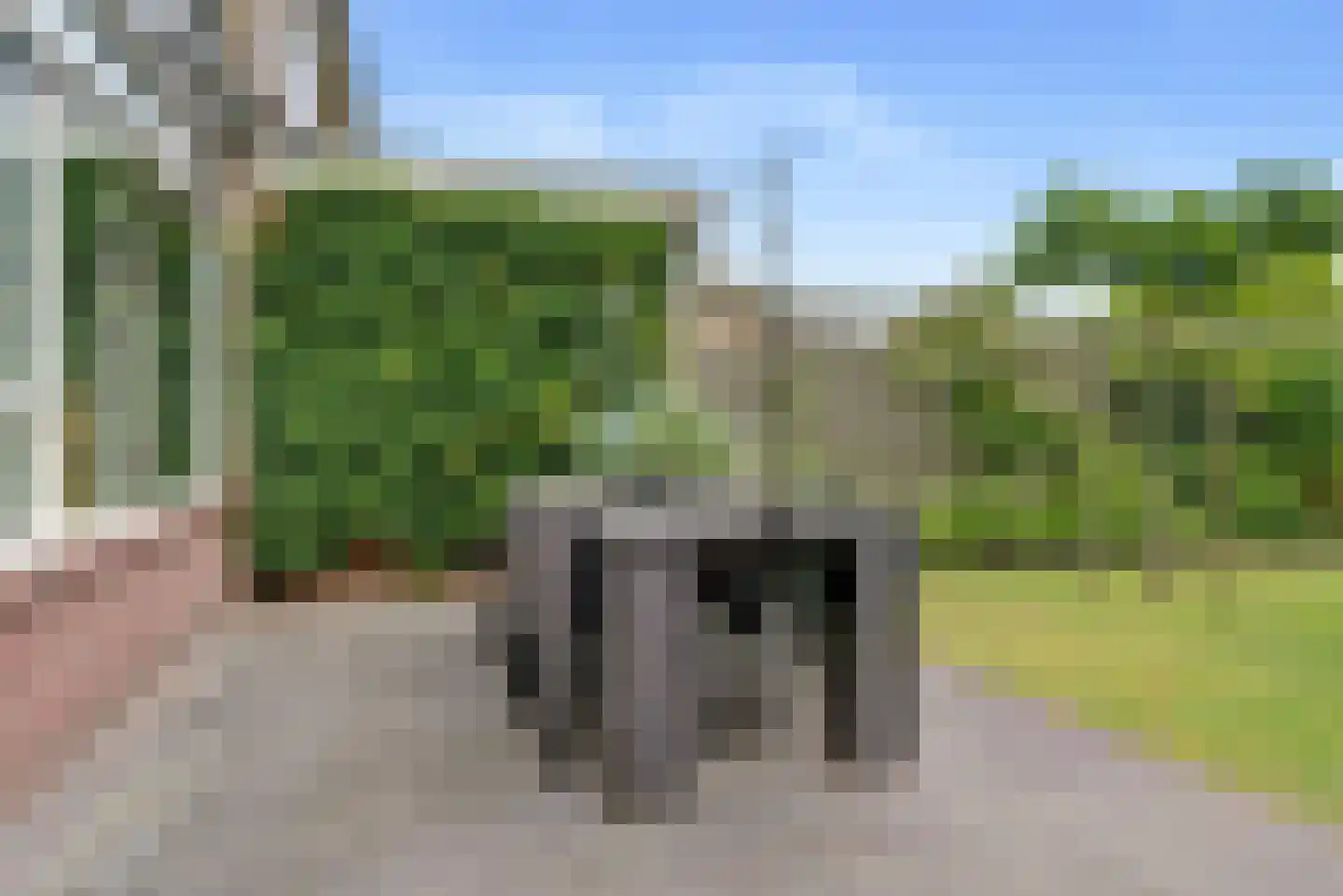 Mozartstraat 4 Elst thumbnail 33
