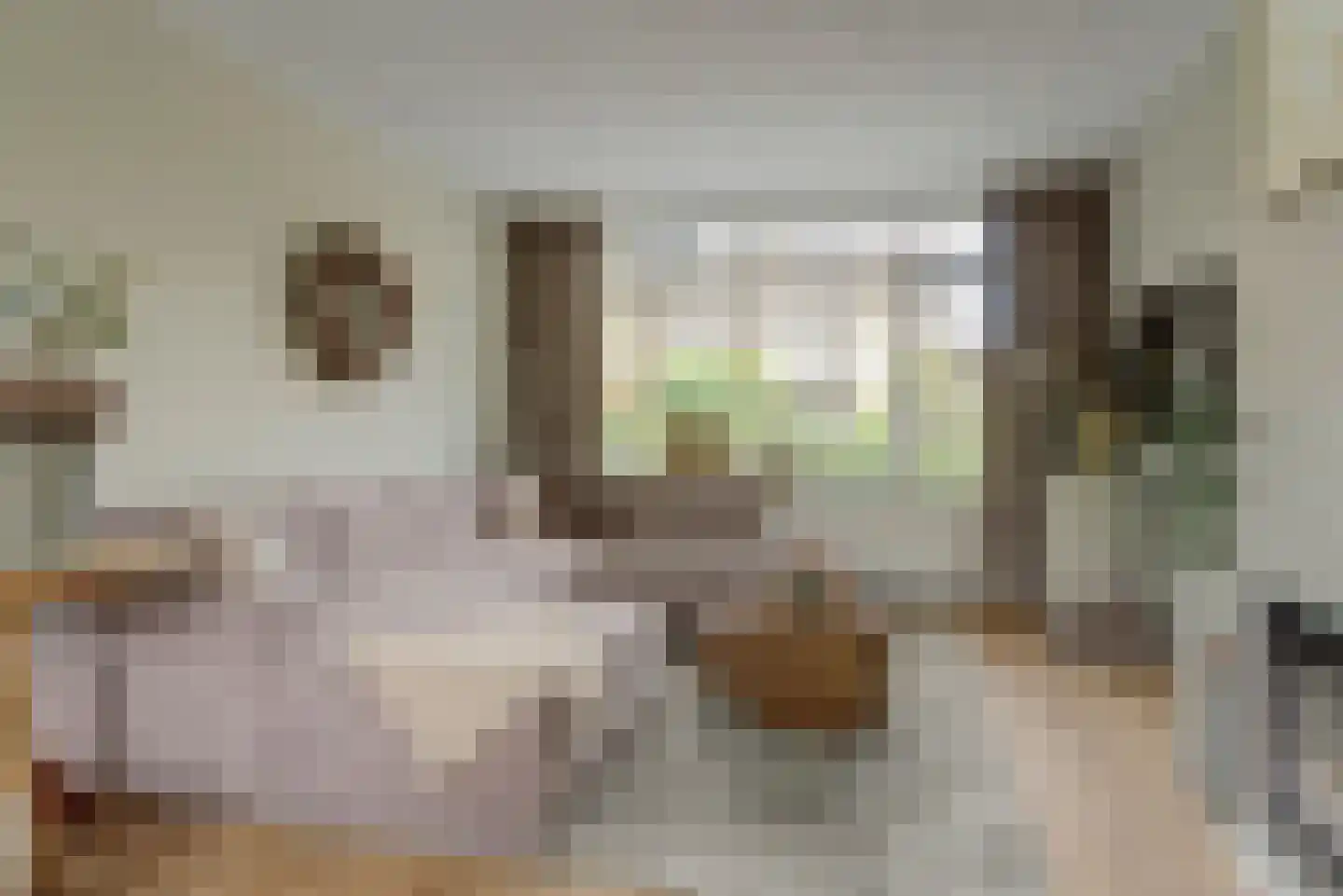 Mozartstraat 4 Elst thumbnail 4