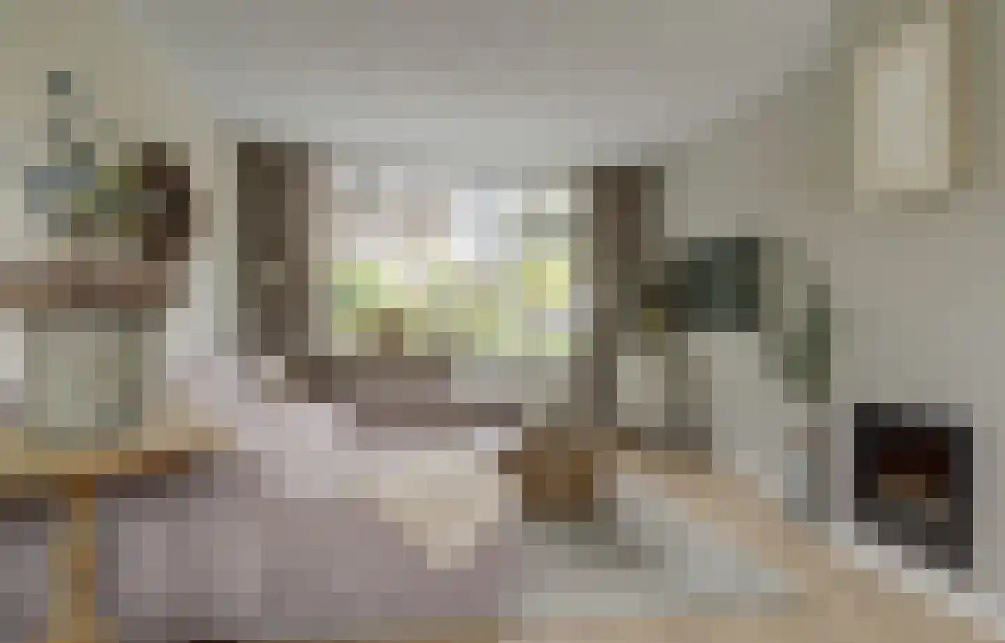 Mozartstraat 4 Elst thumbnail 5