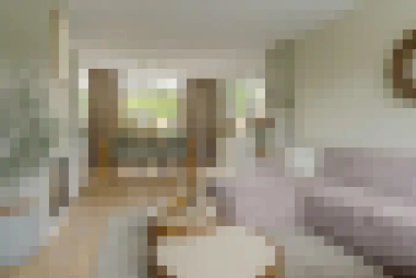 Mozartstraat 4 Elst thumbnail 6