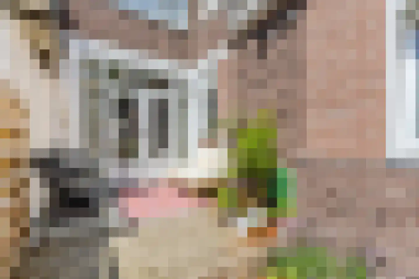 Mozartstraat 4 Zaandam thumbnail 14