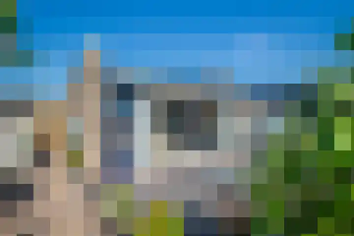Mozartstraat 40 Elst thumbnail 20