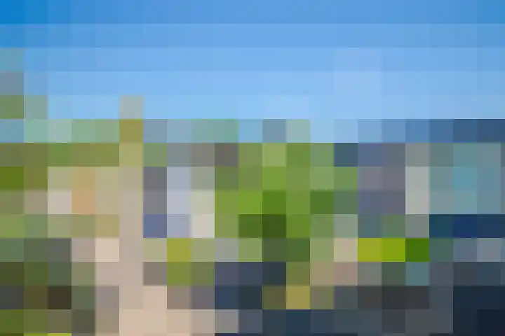 Mozartstraat 40 Elst thumbnail 21