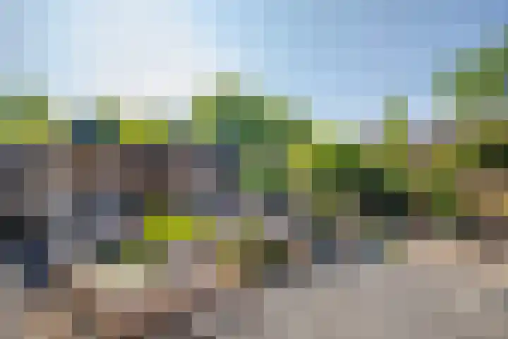 Mozartstraat 40 Elst thumbnail 23