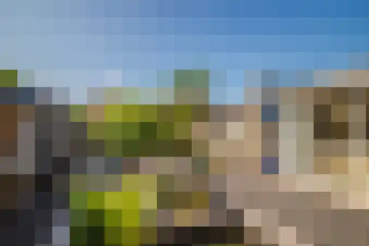 Mozartstraat 40 Elst thumbnail 27