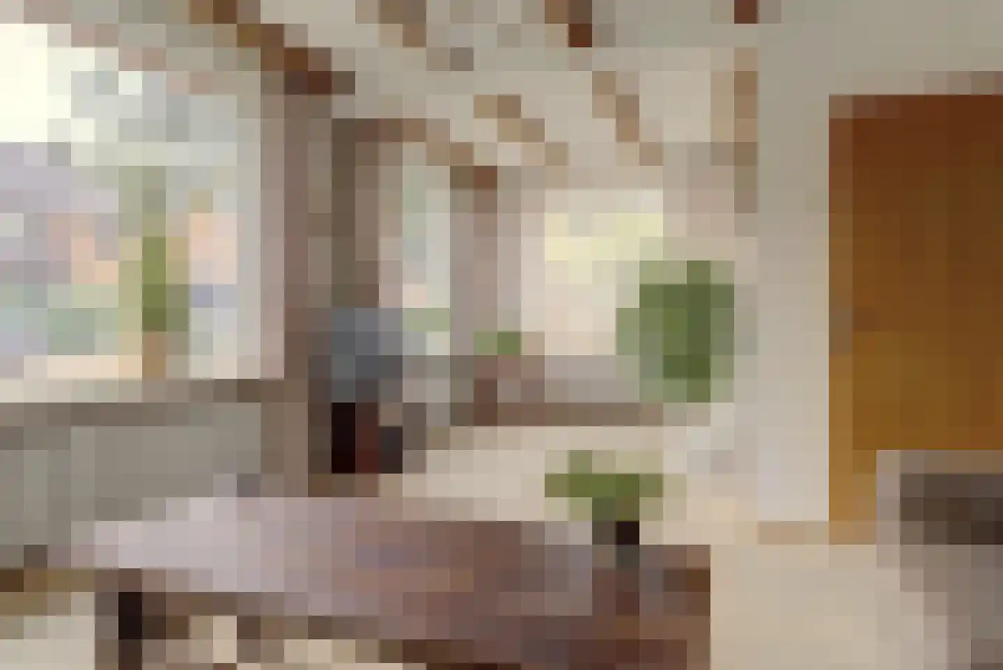 Mozartstraat 41 Elst thumbnail 10