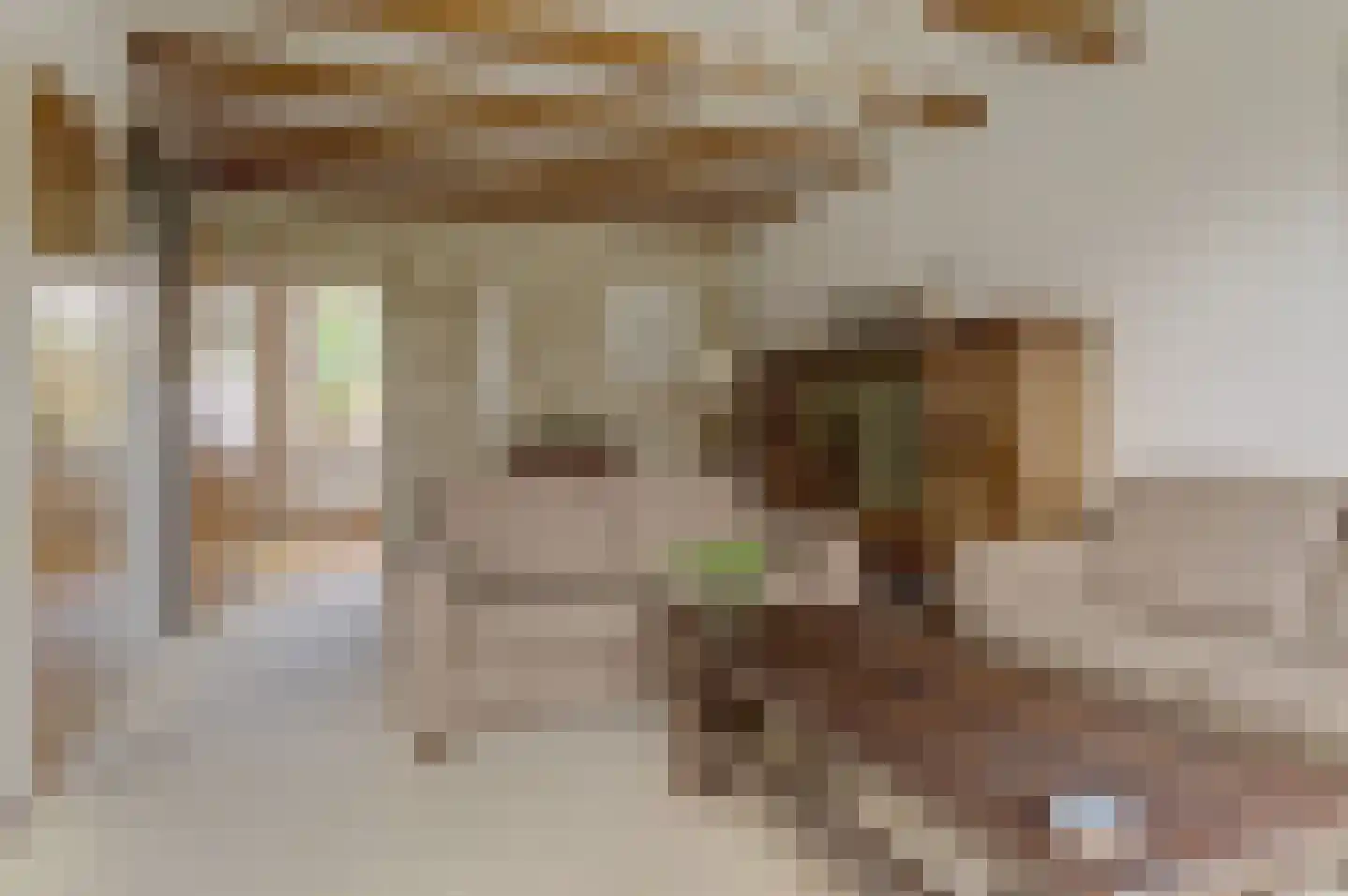 Mozartstraat 41 Elst thumbnail 11