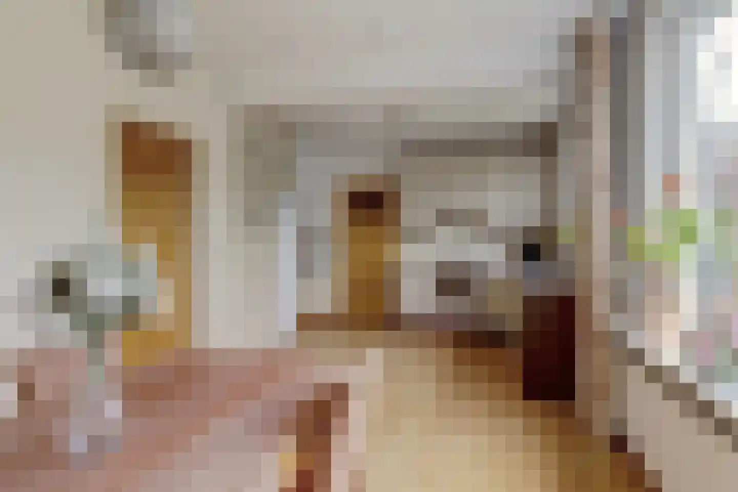 Mozartstraat 41 Elst thumbnail 12