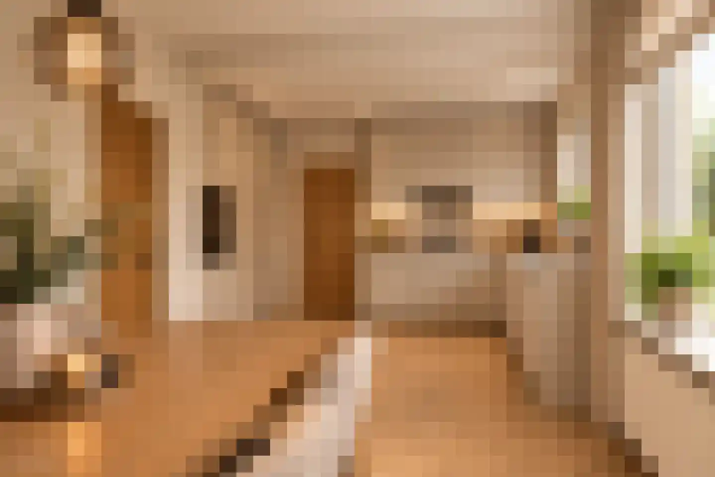 Mozartstraat 41 Elst thumbnail 13