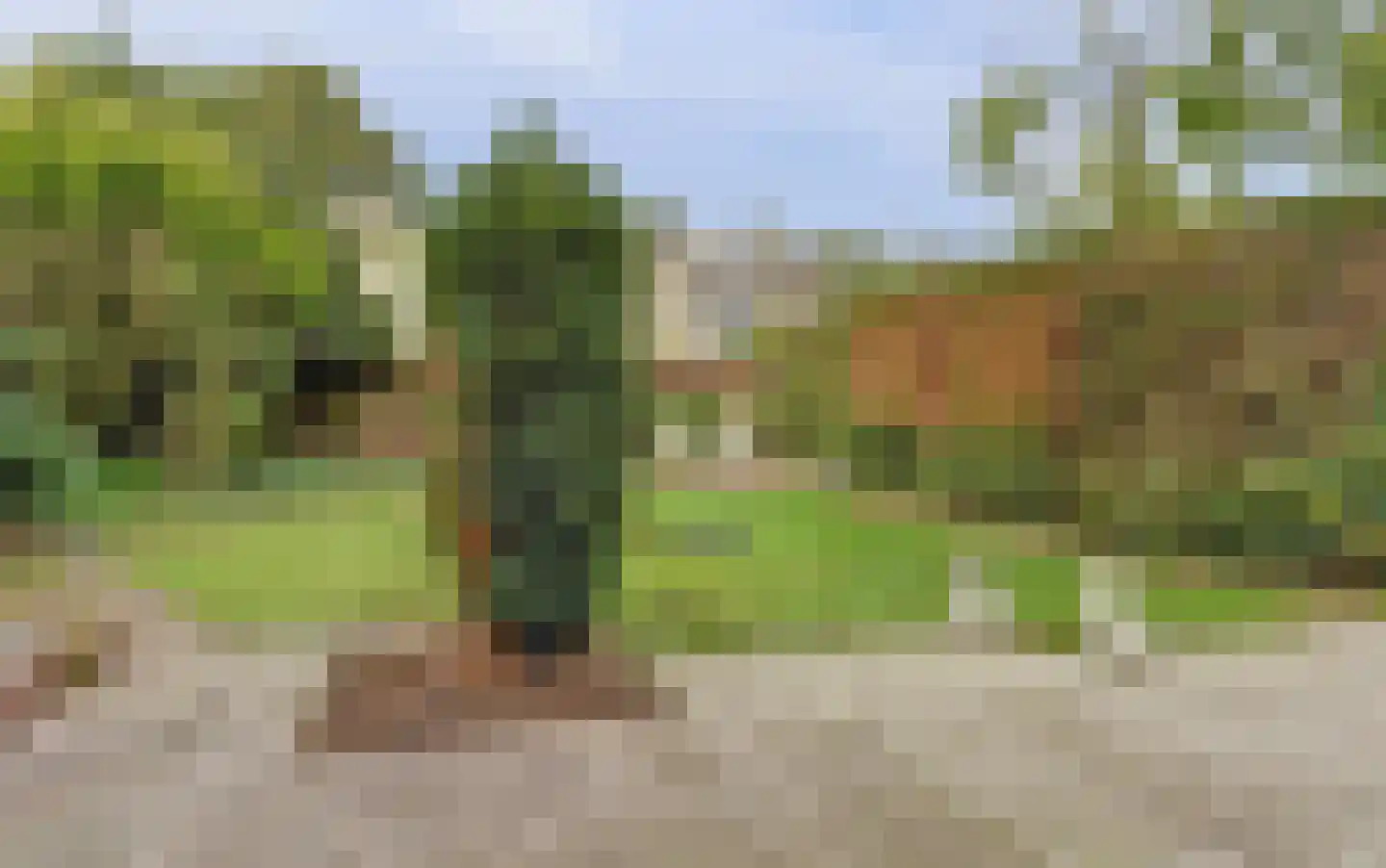 Mozartstraat 41 Elst thumbnail 18