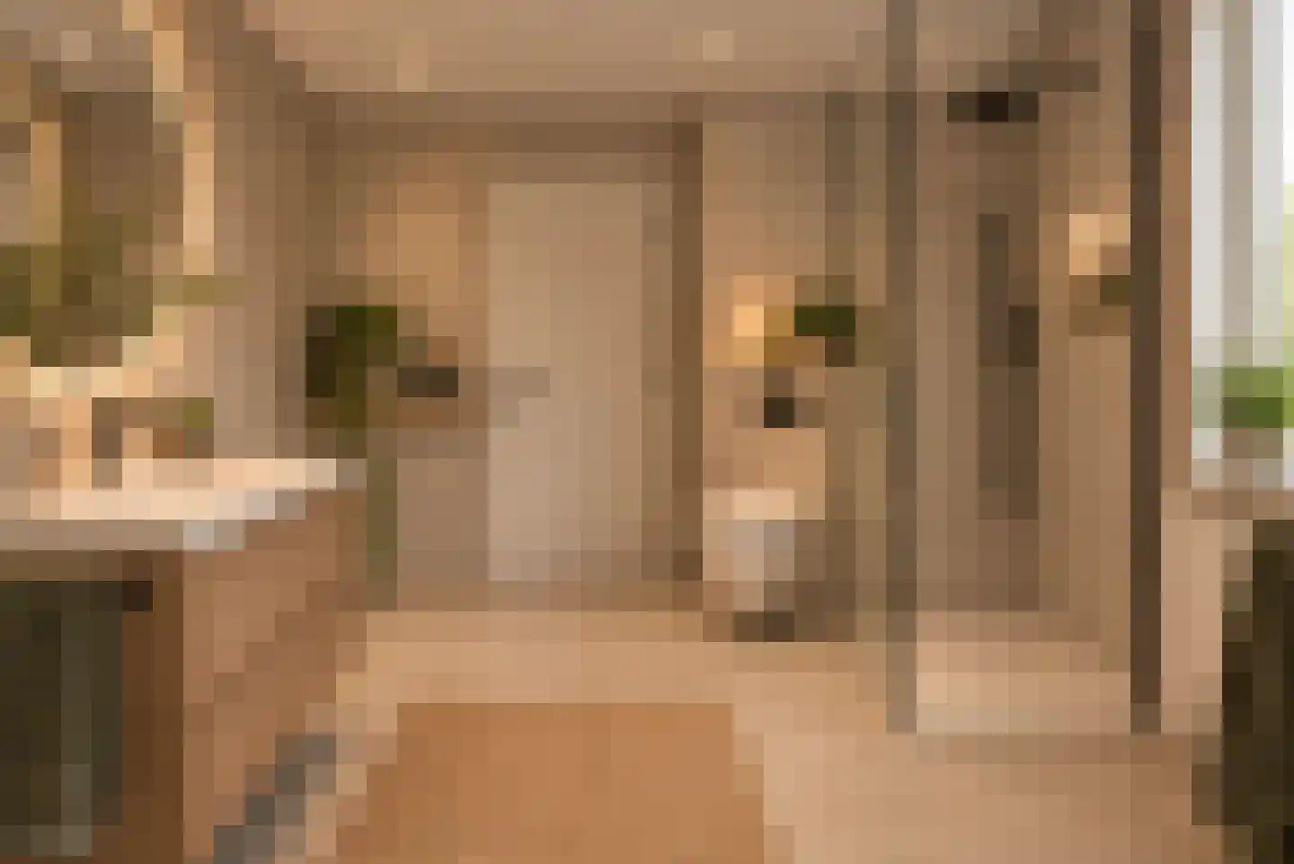 Mozartstraat 41 Elst thumbnail 28