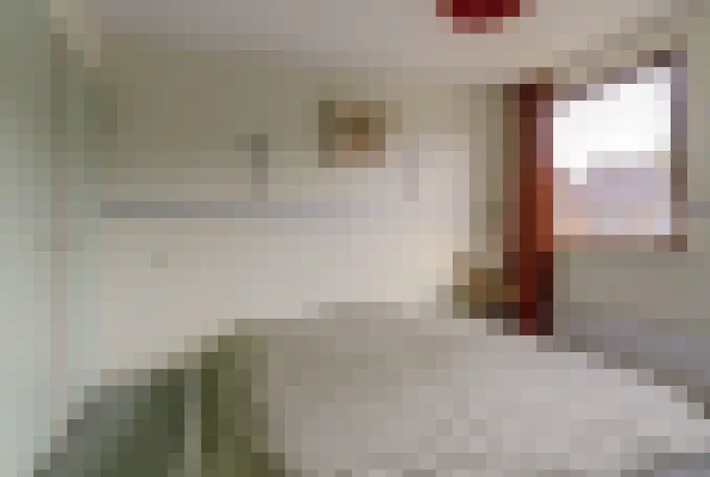 Mozartstraat 41 Elst thumbnail 32