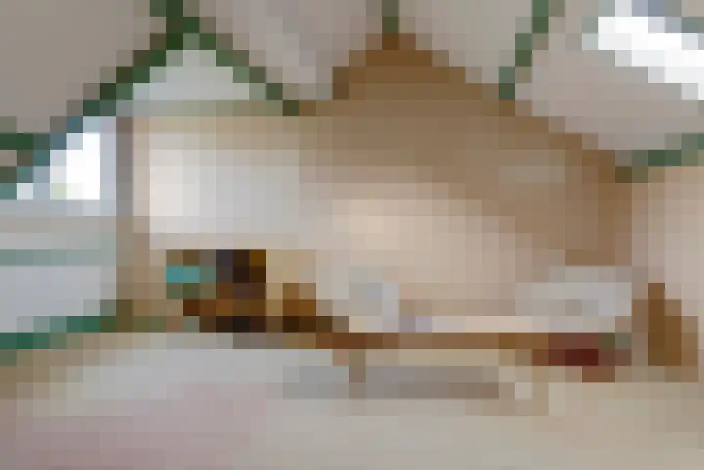 Mozartstraat 41 Elst thumbnail 34