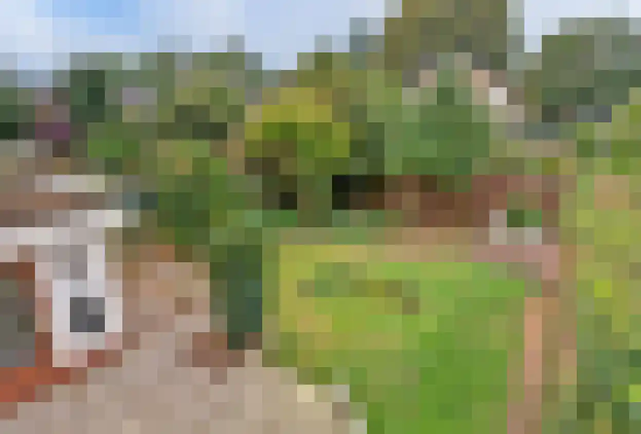 Mozartstraat 41 Elst thumbnail 4