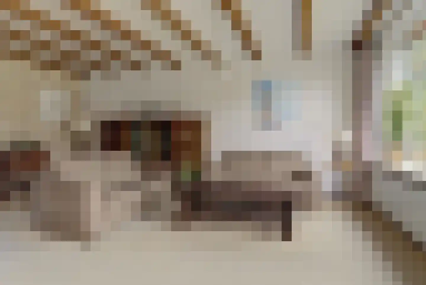 Mozartstraat 41 Elst thumbnail 6
