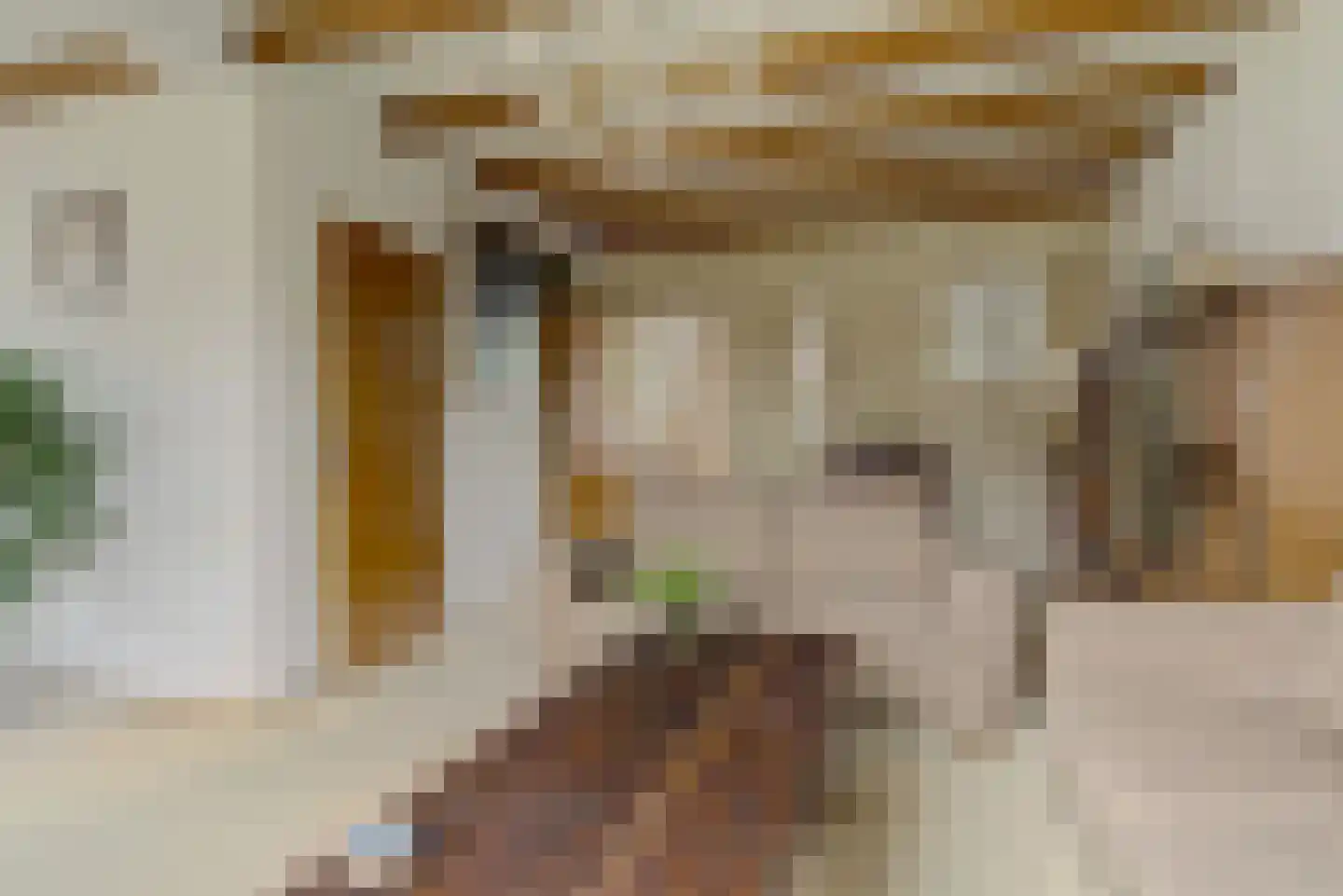 Mozartstraat 41 Elst thumbnail 7