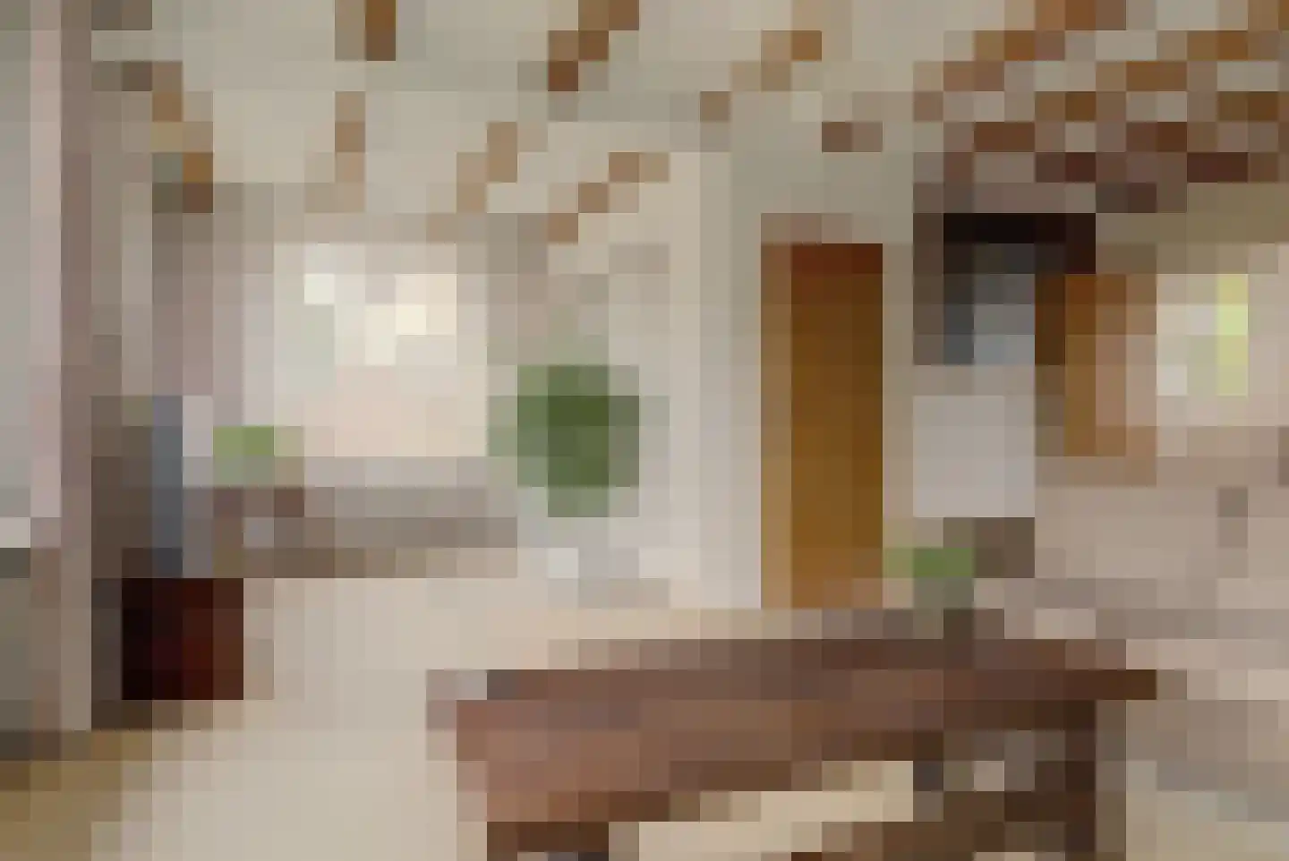 Mozartstraat 41 Elst thumbnail 8