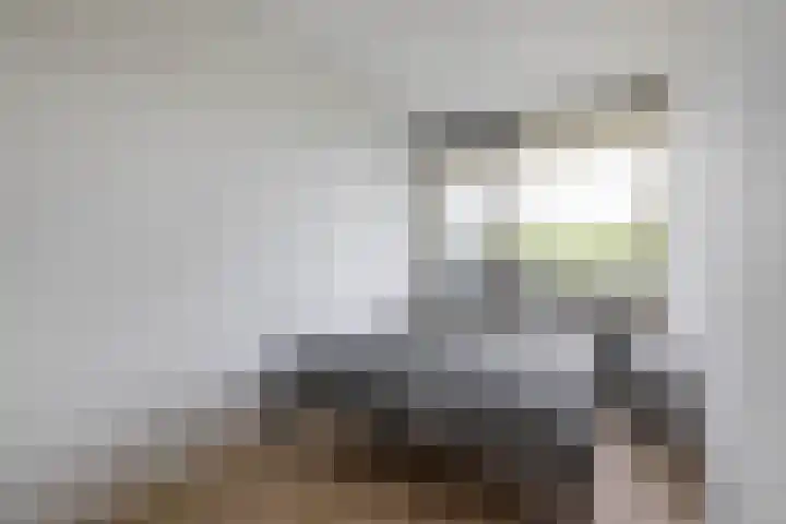 Mozartstraat 42 Almelo thumbnail 12