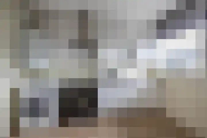 Mozartstraat 42 Almelo thumbnail 4